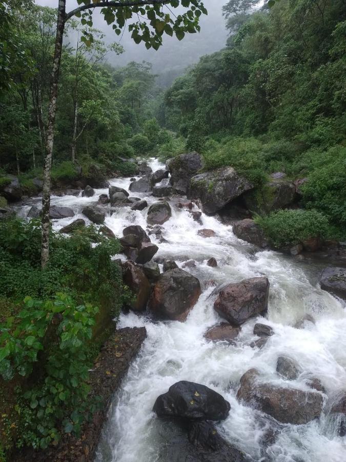 Aranya Baas Homestay Sukhia Pokhari エクステリア 写真